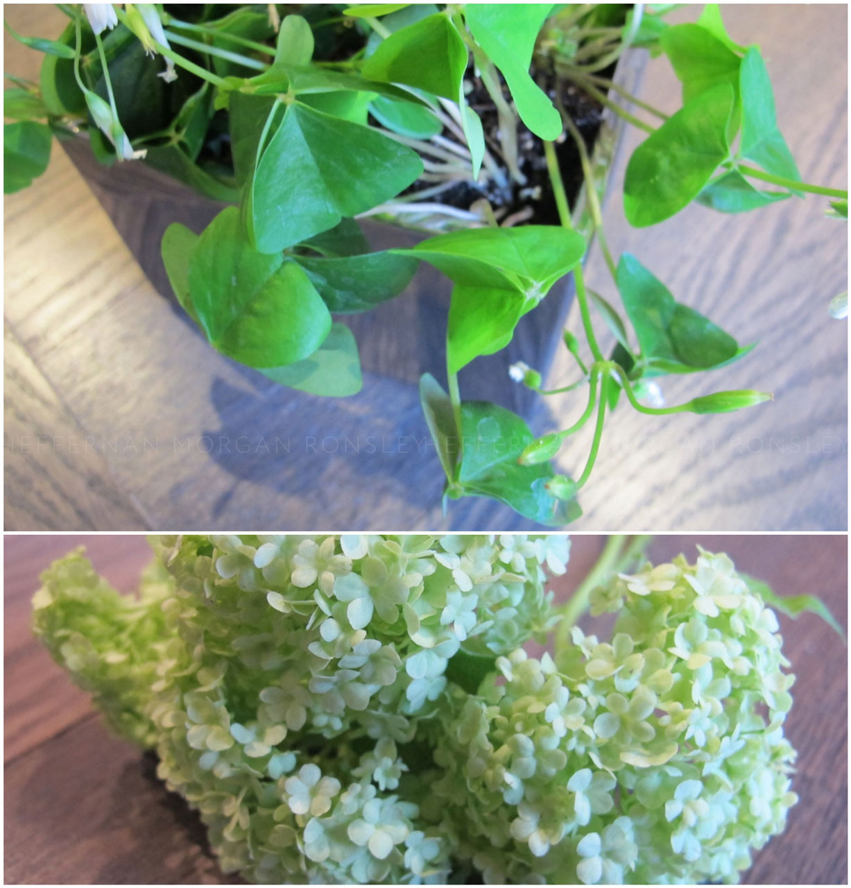 St. Patrick’s Day Bouquets