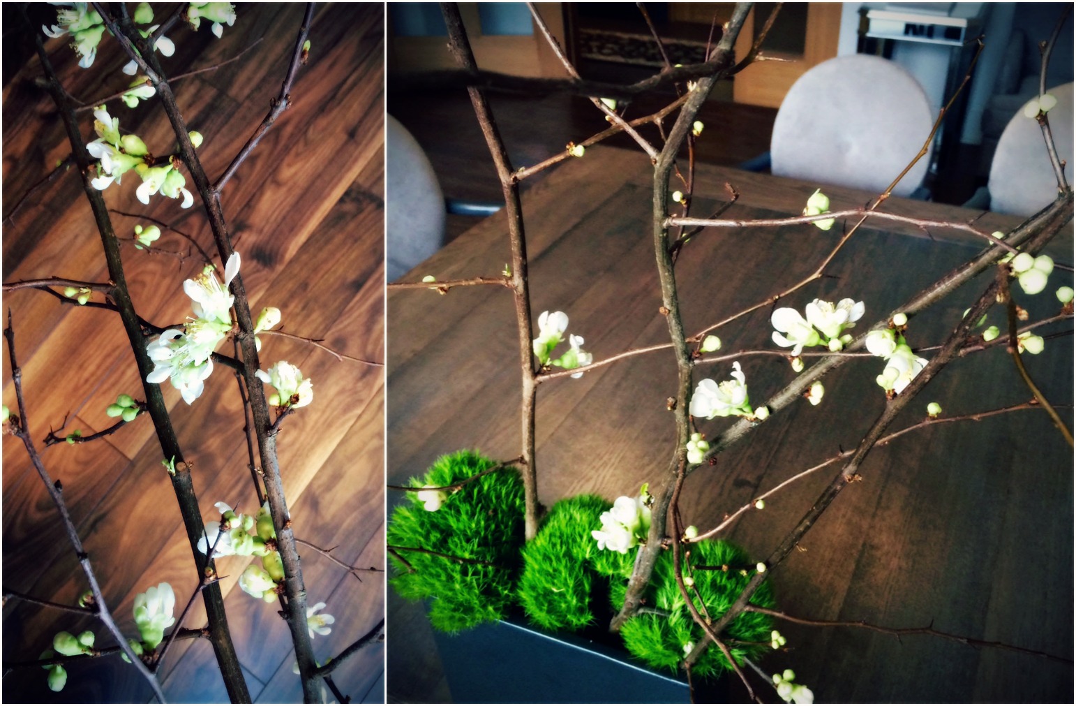 HMR Designs tips to brighten the season with blooming branches